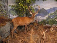 Diorama 3