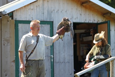 Falkner