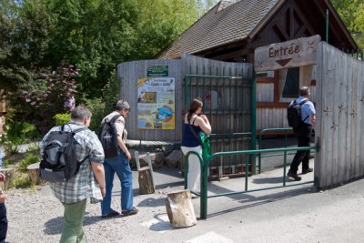 St�rche