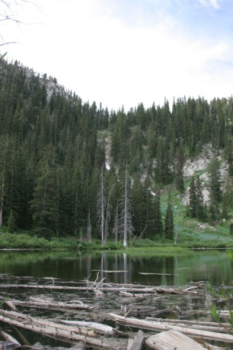 Lake Solitude